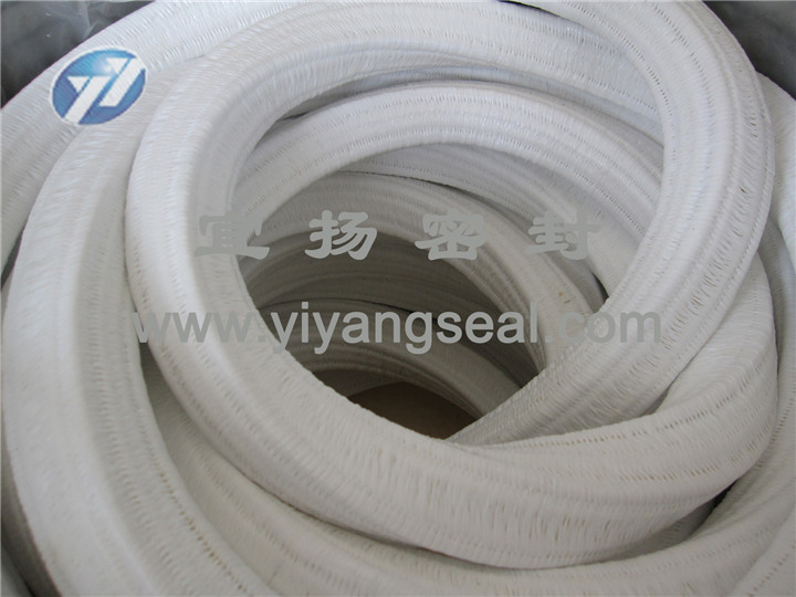 PTFE packing