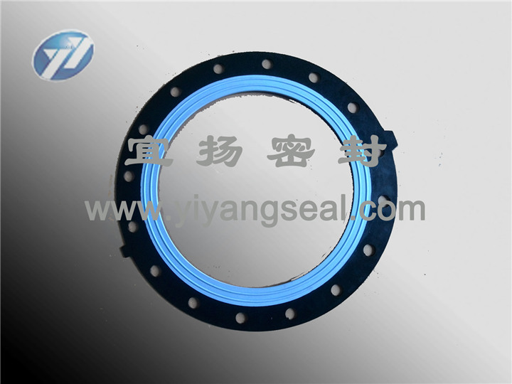 Flange gasket