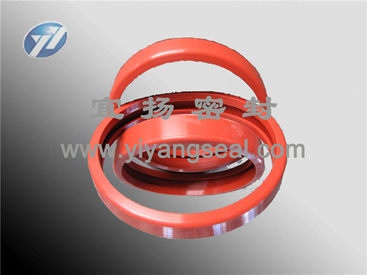 Clamp seal ring