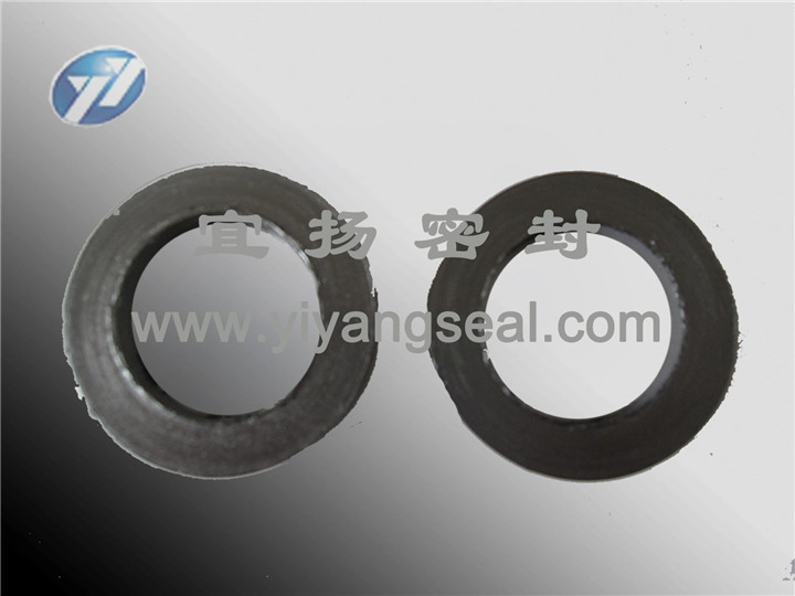 Carbon seal ring